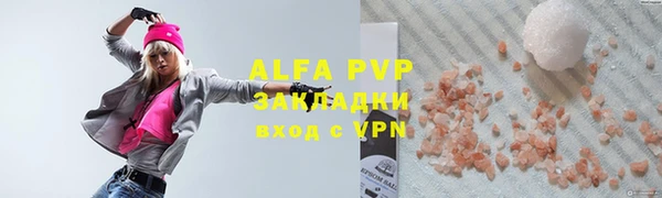 молекула духа Вяземский