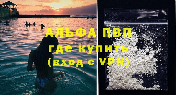 молекула духа Вяземский